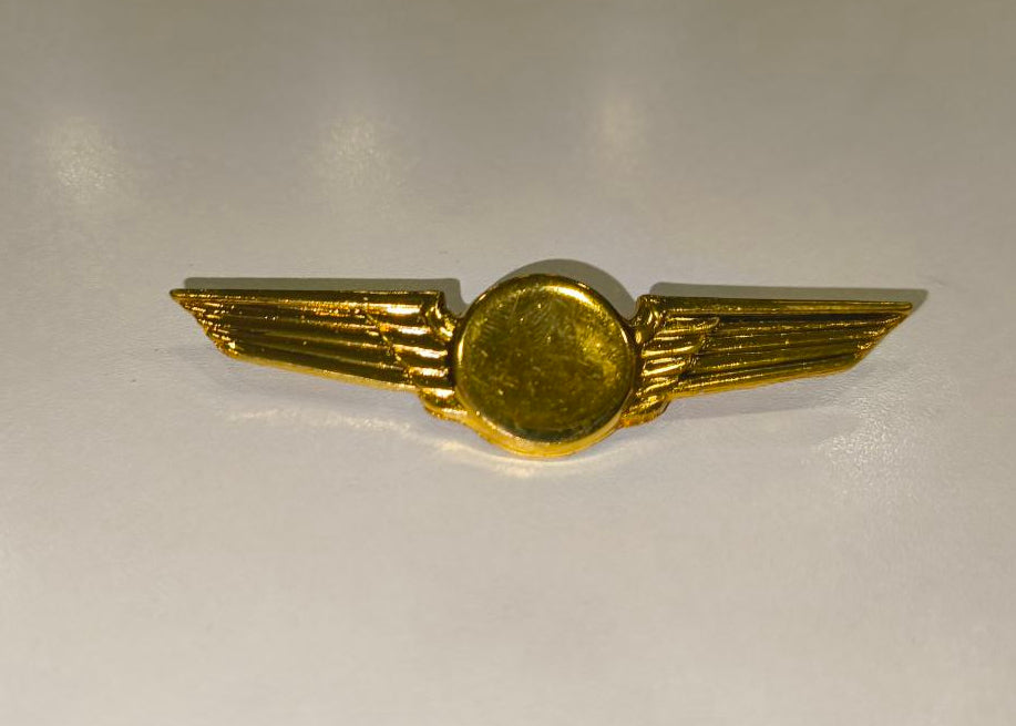 Pilot Wings Badge