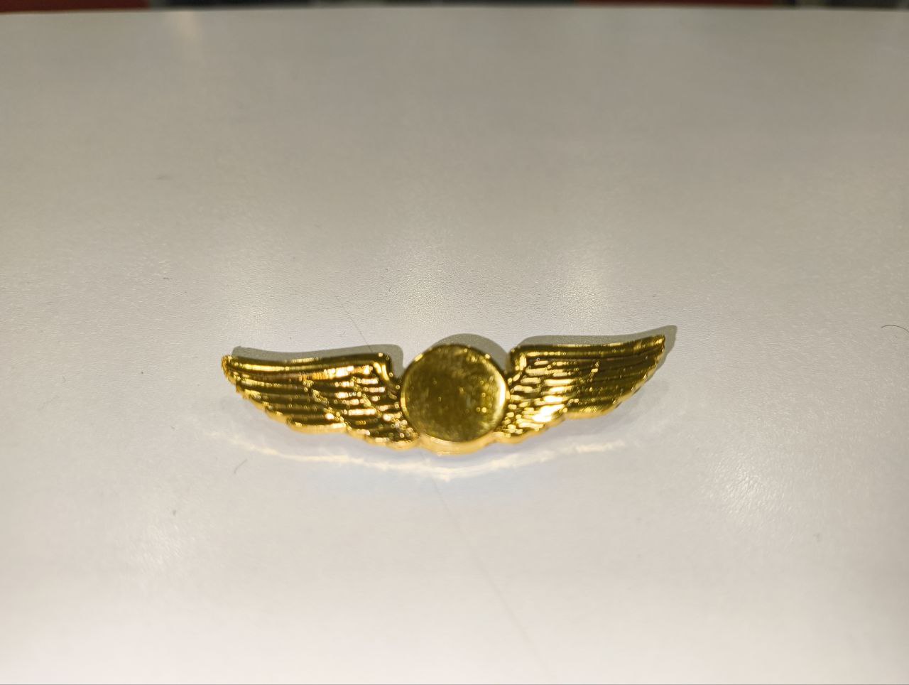 Pilot Wings Badge