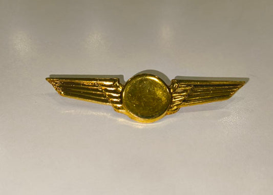 Pilot Wings Badge