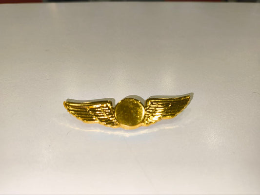 Pilot Wings Badge