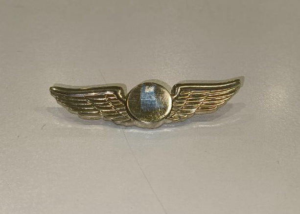 Pilot Wings Badge