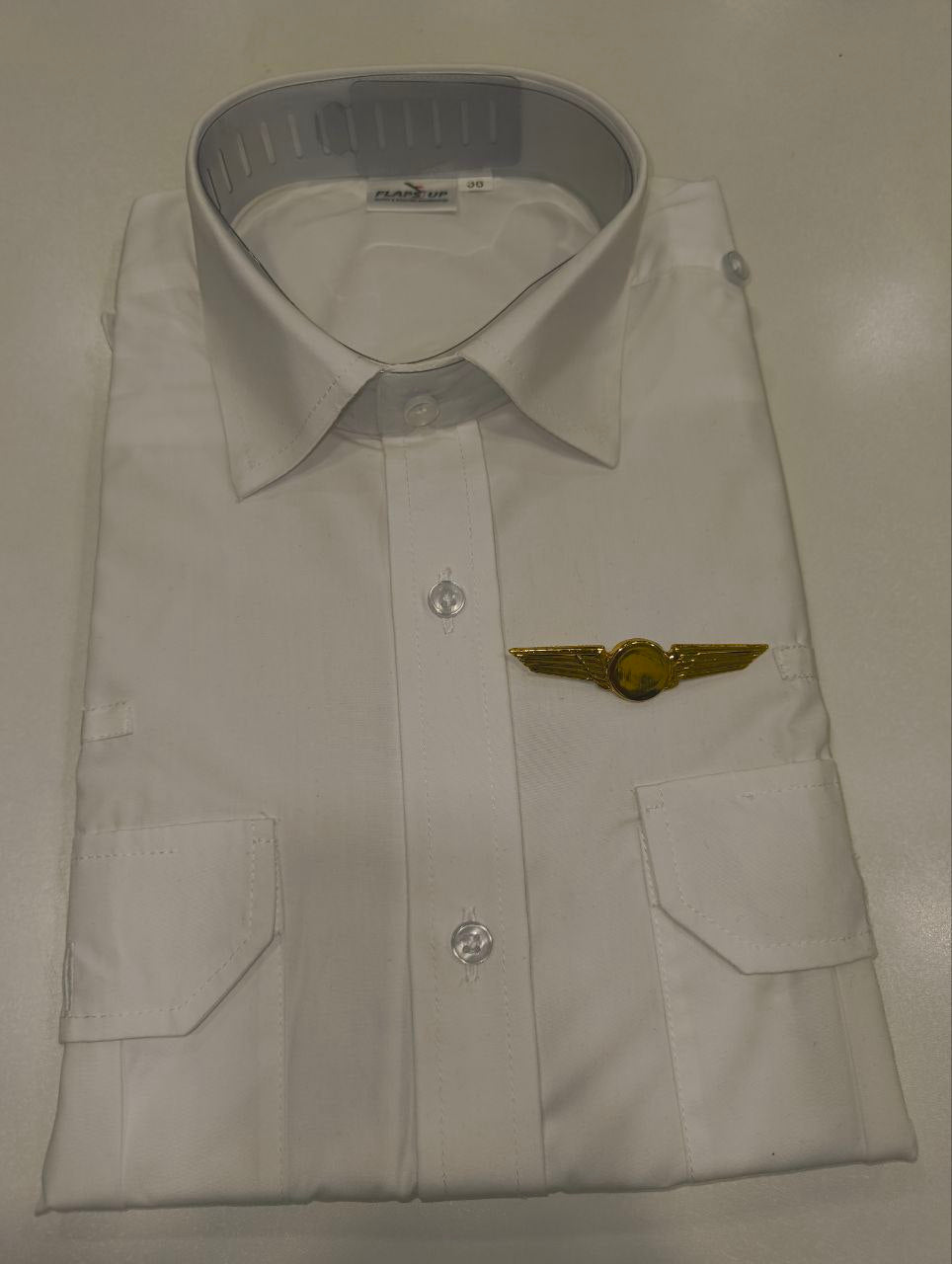 Pilot Wings Badge